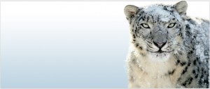 Mac OS X Snow Leopard